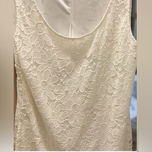 Tiana B. Floral Daisy Lace Dress, 2XL
